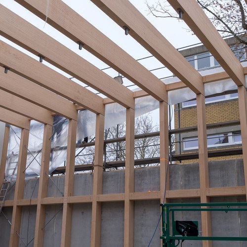 Halle in Baubuche
