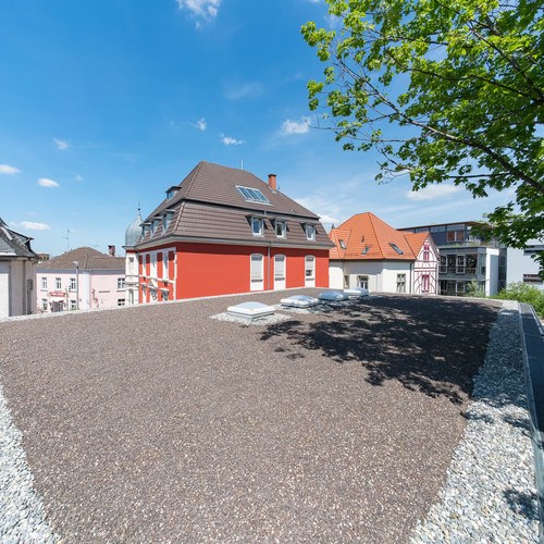 Halle in Baubuche